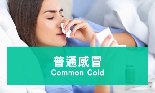 月经期间喝红枣桂圆花茶网 - 网站提供月经期间喝红枣桂圆花茶好不好小常识、月经期间喝红枣桂圆花茶好吗